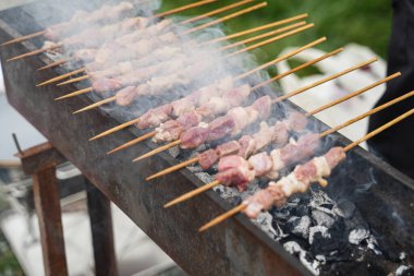 A bunch of delicious kebabs