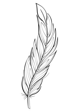 Kuş tüyü vektör çizimi. Yumuşak tüylü siluet çizimi. Vektör beyazda izole edildi