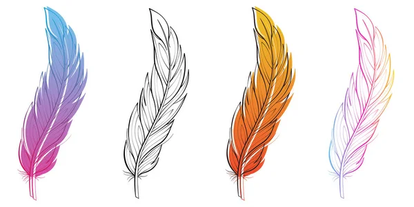 Set Van Kleurrijke Veren Vector Illustratie Fluffy Feather Silhouet Met — Stockvector
