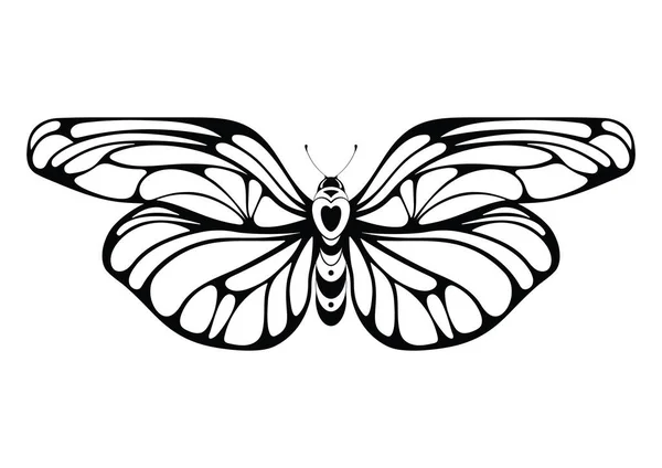 蝴蝶矢量图解 在白色背景上孤立的矢量轮廓 T恤衫 激光切割 彩色书籍装饰元件 — 图库矢量图片