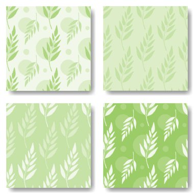 Yeşil yapraklı botanik desenli vektör kümesi. Ekolojik ve doğal vektör kalıpları organik ve sağlıklı gıdaların, doğal kozmetik ürünlerin ve vejetaryen ürünlerin paketlenmesi için uygundur..