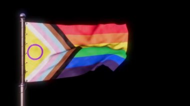 LGBTQ siyah arkaplanda yeni tasarım bayrağı. Çeşitlilik ve kapsama konsepti. 3D animasyon mükemmel döngü