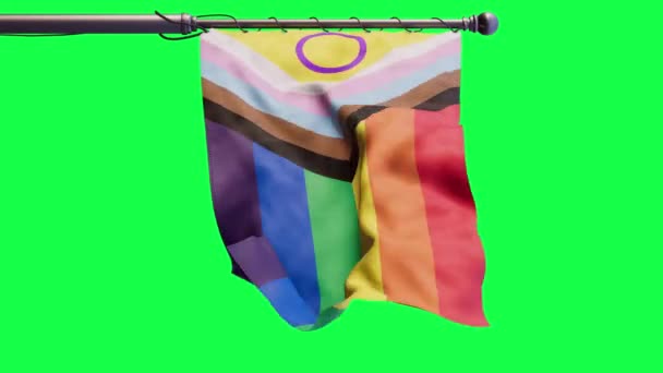 Lgbtqia Pride Flag Banner Zwaaiend Groen Scherm Loop Animatie Van — Stockvideo