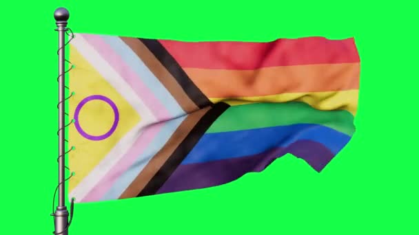 Bandiera Lgbtqia Sventola Sullo Schermo Verde Diversità Inclusione Concept Loop — Video Stock