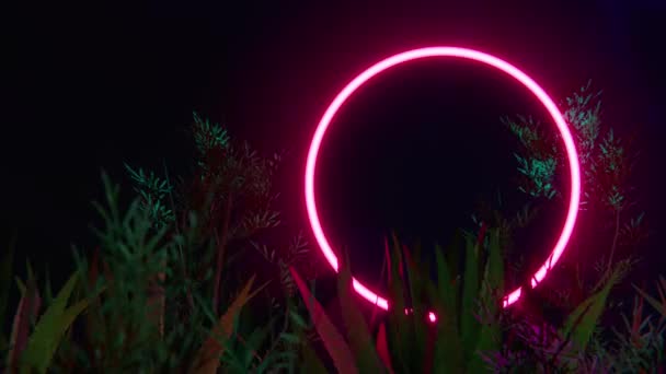 Rode Neon Cirkel Tussen Tropische Planten Retrowave Loop Animatie — Stockvideo
