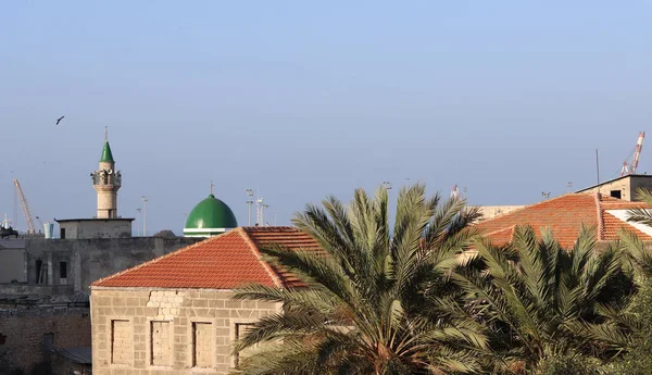 Θέα Στην Πόλη Χάιφα Κόκκινες Κεραμοσκεπές Πράσινο Τζαμί Μπλε Ουρανός — Φωτογραφία Αρχείου