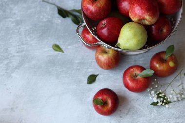 Beyaz kevgirde parlak kırmızı elmalar. Masadaki organik meyvelerin yakın plan fotoğrafını çek. Mevsimlik meyvelerin canlı renkleri. Taze konsept yemek. Kopyalama alanı olan parlak gri arkaplan. 