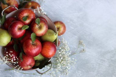 Beyaz metalik kevgire organik armutlar ve elmalar. Sehpadaki mevsimlik meyvelerin fotoğrafını çek. Elmalar ve çingene çiçekleriyle dolu renkli bir hayat. Doğal vitaminler ve antioksidan konsepti. 