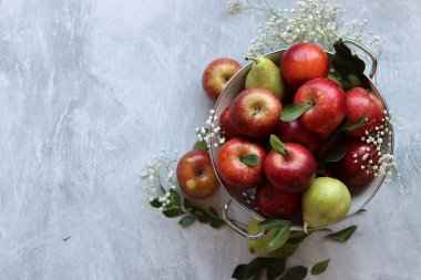 Beyaz metalik kevgire organik armutlar ve elmalar. Sehpadaki mevsimlik meyvelerin fotoğrafını çek. Elmalar ve çingene çiçekleriyle dolu renkli bir hayat. Doğal vitaminler ve antioksidan konsepti. 