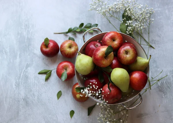 stock image Shiny red apples in white colander. Close up photo of organic fruit on a table. Vibrant colors of seasonal fruit. Eating fresh concept. Bright grey background with copy space. 