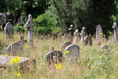 Londra 'daki Brompton mezarlığı. Yazın eski bir mezarlığın resimli fotoğrafı. Huzurlu bir manzara. 
