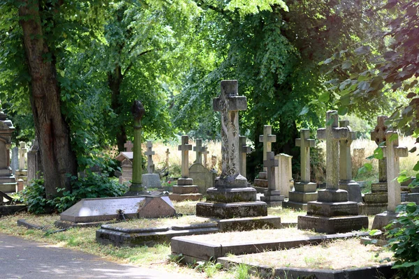 Cementerio Brompton Londres Reino Unido Pintoresca Foto Antiguo Cementerio Verano — Foto de Stock