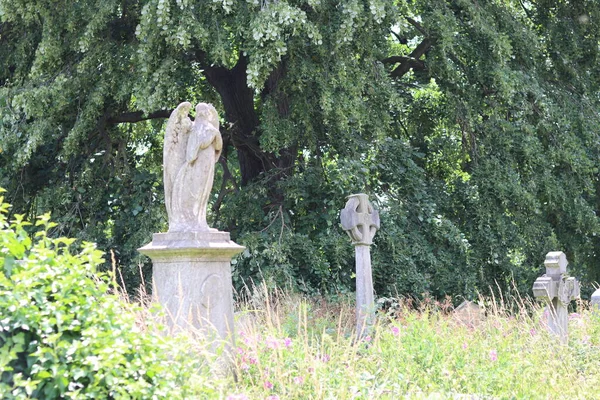 Brompton Cemitério Londres Reino Unido Foto Pitoresca Antigo Cemitério Verão — Fotografia de Stock