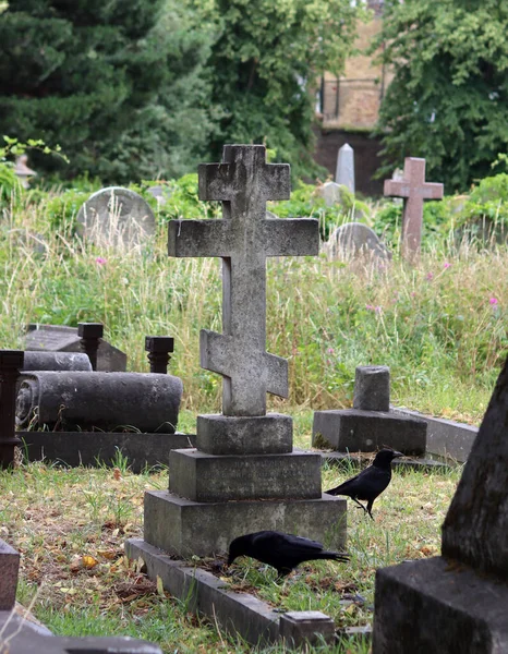 Giornata Estiva Vecchio Cimitero Pietre Tombali Antiche Foto Vicino Paesaggio — Foto Stock