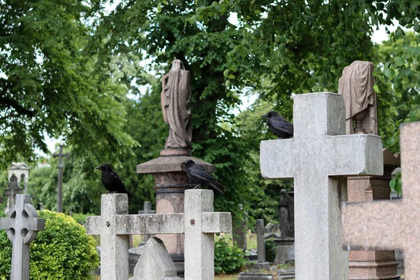 Letni Dzień Starym Cmentarzu Zabytkowe Nagrobki Zamykają Zdjęcie Spokojny Krajobraz — Zdjęcie stockowe