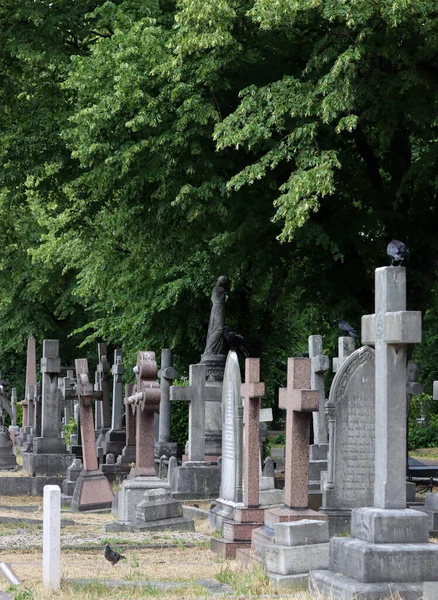 Dia Verão Velho Cemitério Lápides Antigas Fecham Foto Cenário Tranquilo — Fotografia de Stock