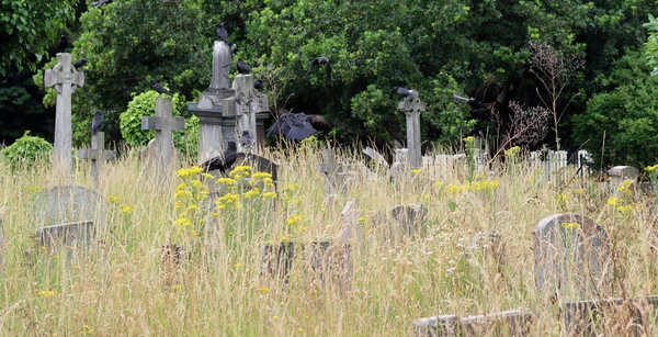 ロンドンのブロンプトン墓地 夏の古い墓地の写真です トランキル風景 — ストック写真