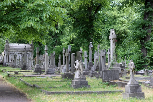 Día Verano Viejo Cementerio Lápidas Antiguas Cerca Foto Paisajes Tranquilos — Foto de Stock