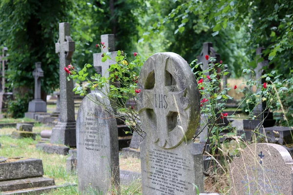 여름은 묘지에서 보내지 묘비들 사진을 탁트인 — 스톡 사진