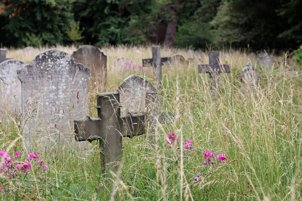 Cruzes Grama Alta Antigo Cemitério Verão — Fotografia de Stock