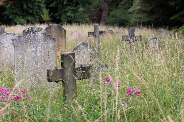 Krzyże Wysokiej Trawie Stary Cmentarz Lecie — Zdjęcie stockowe
