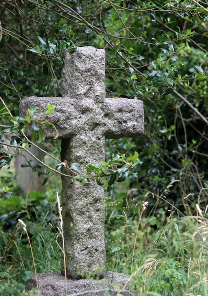 Krzyże Wysokiej Trawie Stary Cmentarz Lecie — Zdjęcie stockowe
