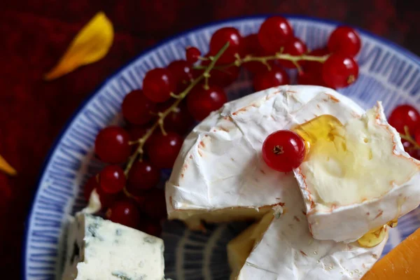 Mavi tabakta üzümlü peynirli Camembert peyniri. Fransız peynirinin yakın plan fotoğrafı..  