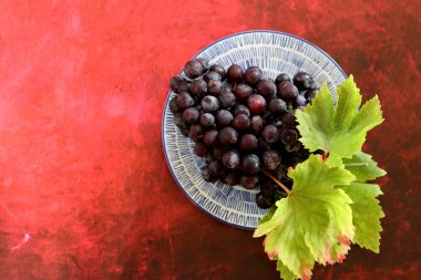 Kırmızı arka planda mavi kasede bir demet taze siyah üzüm. 