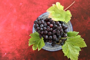 Kırmızı arka planda mavi kasede bir demet taze siyah üzüm. 
