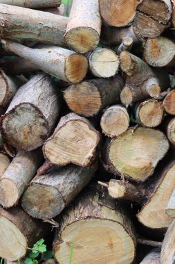 Bahçede odun yığınları var. Yakacak odun yığını yakın plan fotoğraf. Ahşap doku 