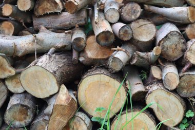 Bahçede odun yığınları var. Yakacak odun yığını yakın plan fotoğraf. Ahşap doku 