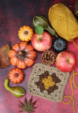Balkabakları, elmalar, yapraklar, yün iplik ve örgü ören büyükanne kare desenli sonbahar hayatı. Sonbahar tığ işi fikirleri.. 