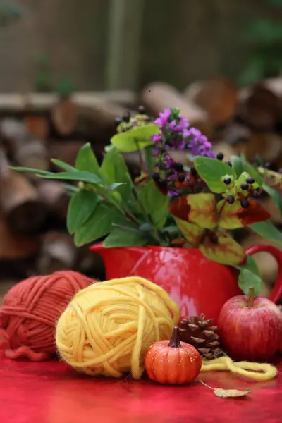 Woolen Yarn Red Apple Red Background Selective Focus — Stock Photo, Image