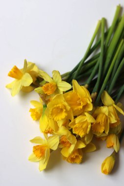 Bouquet of yellow daffodils. Easter season concept. Easter greeting card. clipart