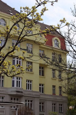 Eski binalar yakın çekimde. Avrupa binalarının güzel cepheleri. Bratislava, Slovakya 'nın geleneksel mimarisi 