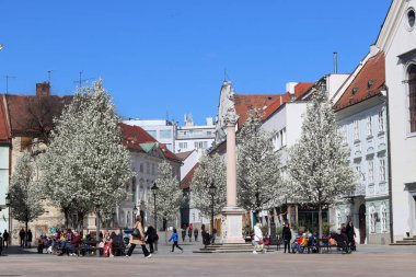 Eski Bratislava kasabası, Slovakya güneşli bahar günü. Güzel binalar, çiçek açan ağaçlar, sokak manzarası. Orta Avrupa 'nın mimarisi. 