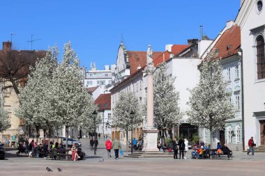 Eski Bratislava kasabası, Slovakya güneşli bahar günü. Güzel binalar, çiçek açan ağaçlar, sokak manzarası. Orta Avrupa 'nın mimarisi. 
