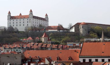 Eski Bratislava kasabası, Slovakya güneşli bahar günü. Güzel binalar, çiçek açan ağaçlar, sokak manzarası. Orta Avrupa 'nın mimarisi. 