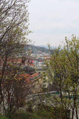 Bratislava, Slovakya 'daki Castle Hill' den Eski Şehir manzarası. Sokak manzarası, eski kırmızı çatılı evler. Avrupa 'da bahar. 