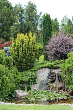 Ağaçları, çalıları ve göleti olan güzel bir bahçe tasarımı.