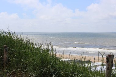 Yazın Hollanda 'da Kuzey Denizi kıyısında bir sahil.