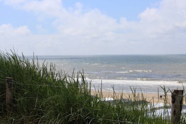 Yazın Hollanda 'da Kuzey Denizi kıyısında bir sahil.