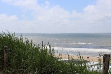 Yazın Hollanda 'da Kuzey Denizi kıyısında bir sahil.