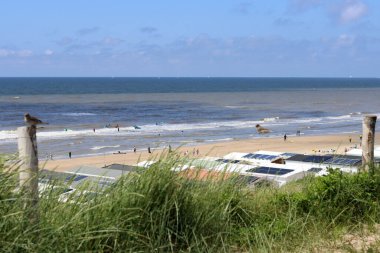 Yazın Hollanda 'da Kuzey Denizi kıyısında bir sahil.