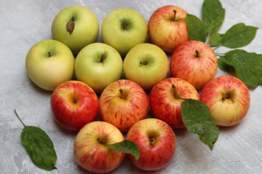 Gri arka planda yaprakları olan taze kırmızı ve sarı elmalar.