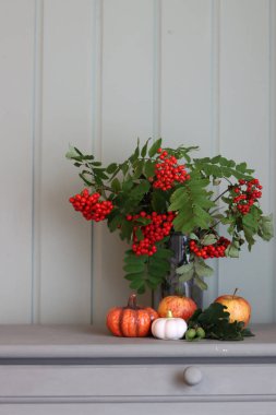Bir vazoda balkabağı, elma ve yaban mersini ile sonbahar kompozisyonu. Kırsal ev dekorasyonları. 