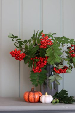 Sonbaharda Rowan 'la hayat, dekoratif seramik balkabakları ve açık yeşil ahşap arka planda mum. Sonbahar sezonu iç dekorasyonları. 