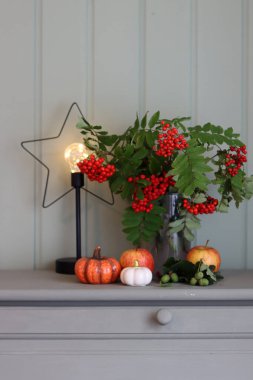 Sonbaharda Rowan 'la hayat, dekoratif seramik balkabakları ve açık yeşil ahşap arka planda mum. Sonbahar sezonu iç dekorasyonları. 