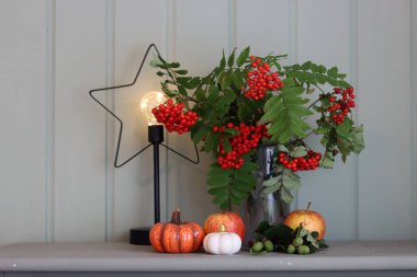 Bir vazoda balkabağı, elma ve yaban mersini ile sonbahar kompozisyonu. Kırsal ev dekorasyonları. 