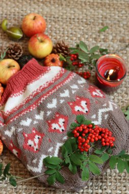 Sonbahar, kahverengi ve kırmızı süveter, elmalar, böğürtlenler ve çuval bezinde mumla dolu bir hayattır. Sonbahar tilkileri örgü örer, yakın plan çektirirdi. Sıcak ve rahat el yapımı giysiler.. 